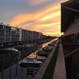 Meet your Posher, Katrina